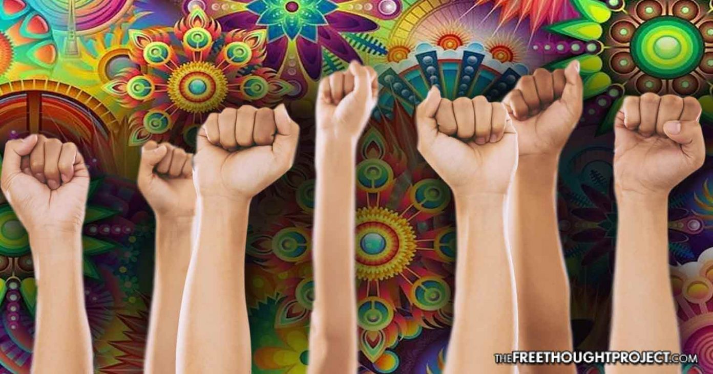 mushrooms-resist-1392x731 mushrooms-resist-1392x731