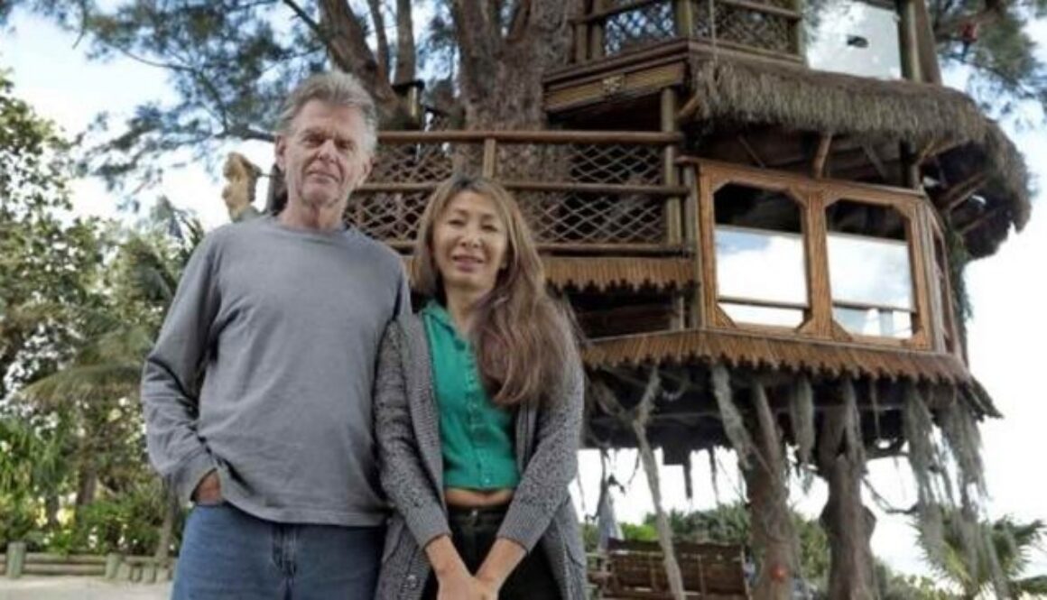 treehouse-696x366