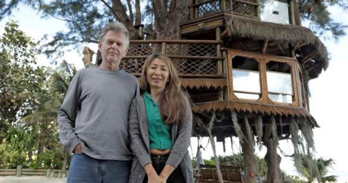 treehouse-696x366 treehouse-696x366