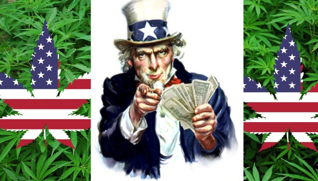 uncle sam money marijuana