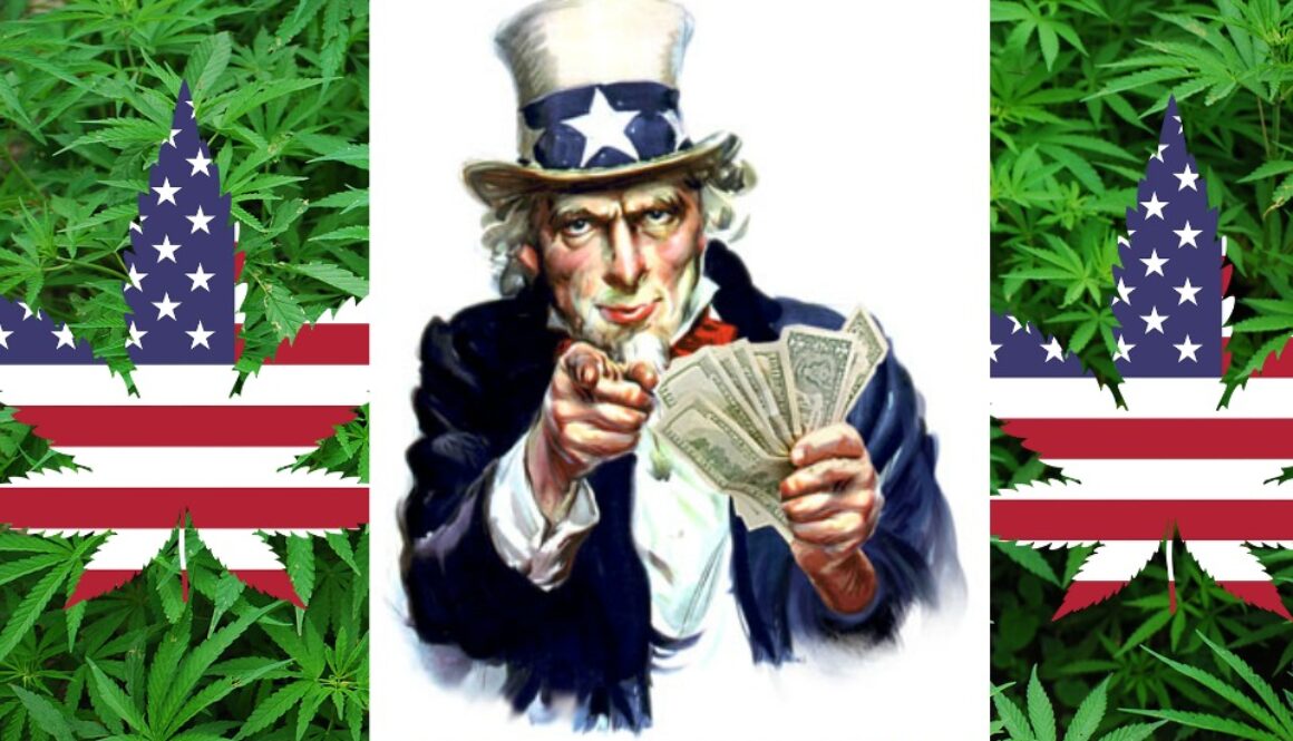 uncle sam money marijuana