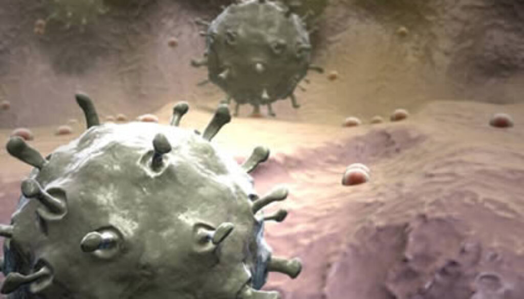 virus_mutations