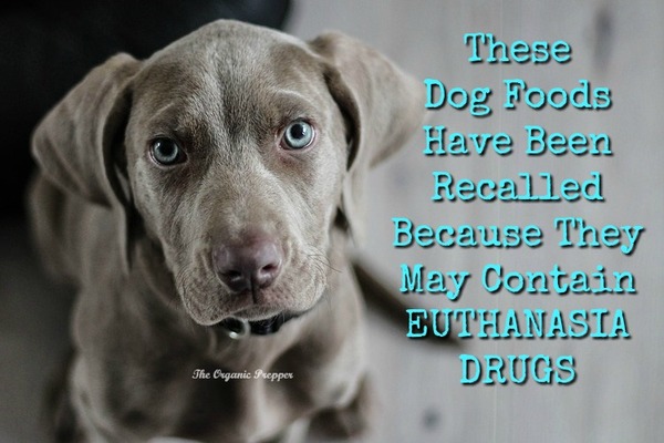 These-Dog-Foods-Have-Been-Recalled-for-EUTHANASIA-DRUGS-600x400 These-Dog-Foods-Have-Been-Recalled-for-EUTHANASIA-DRUGS-600x400