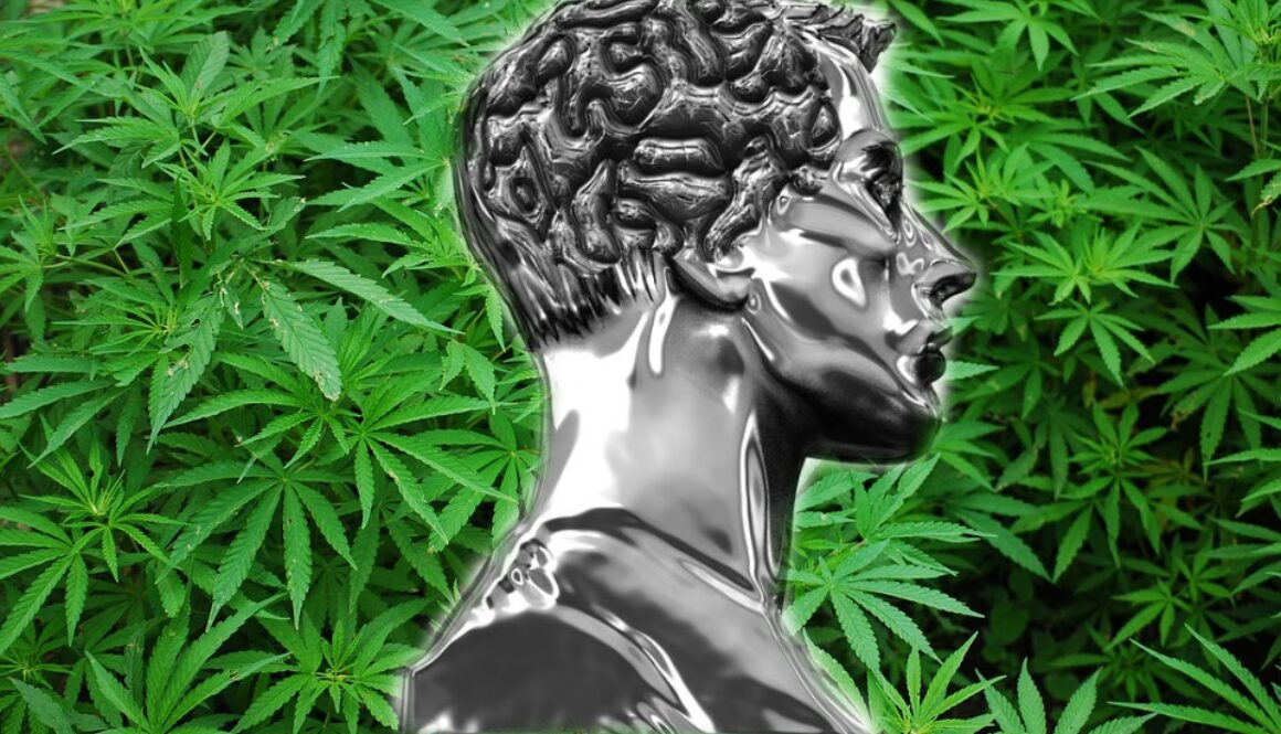 alcohol brain cannabis