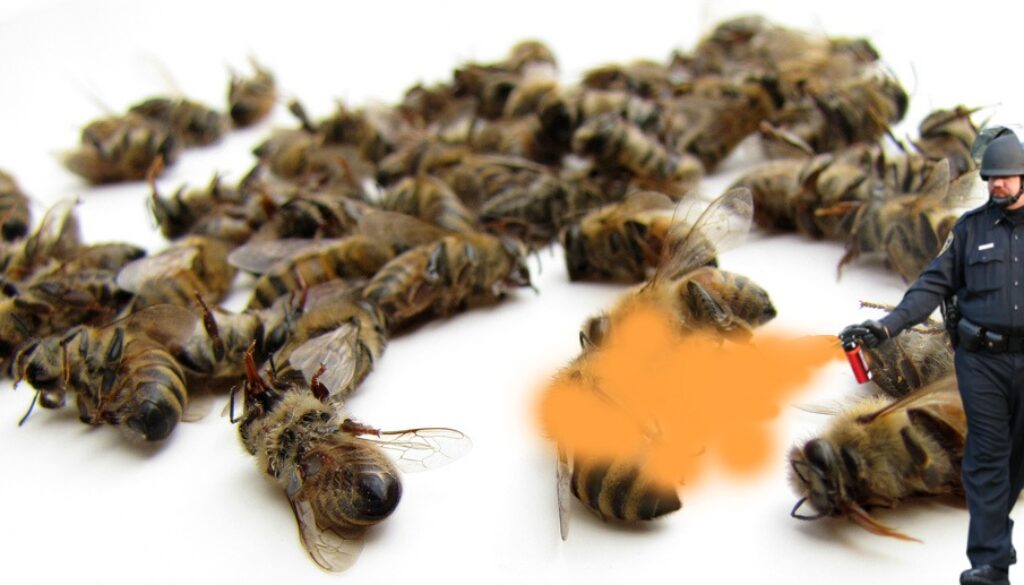 bees dead (1)