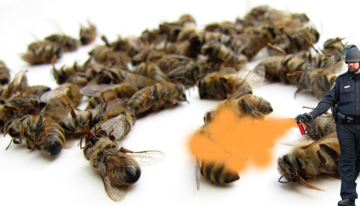 bees dead (1)