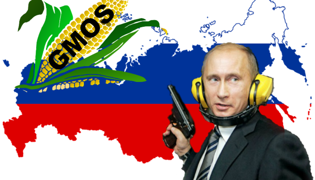 blaming russia anti gmo sentiment