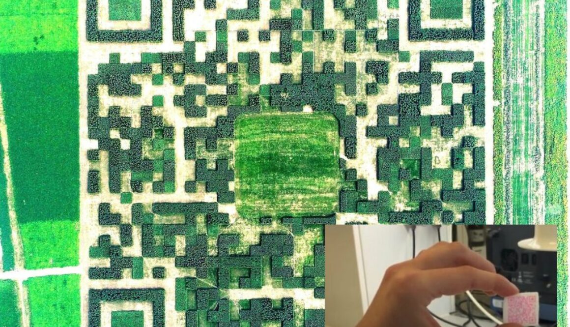 edible qr code medicine