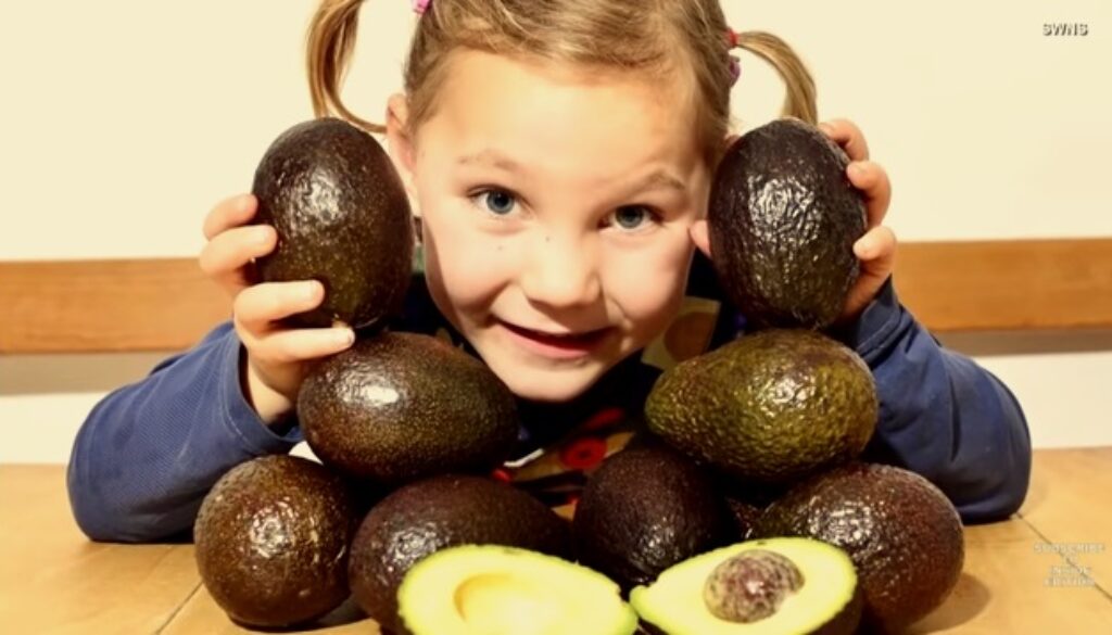 leafy avocado seizure cure