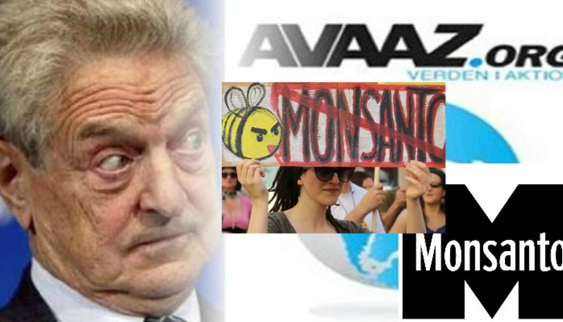 monsanto avaaz
