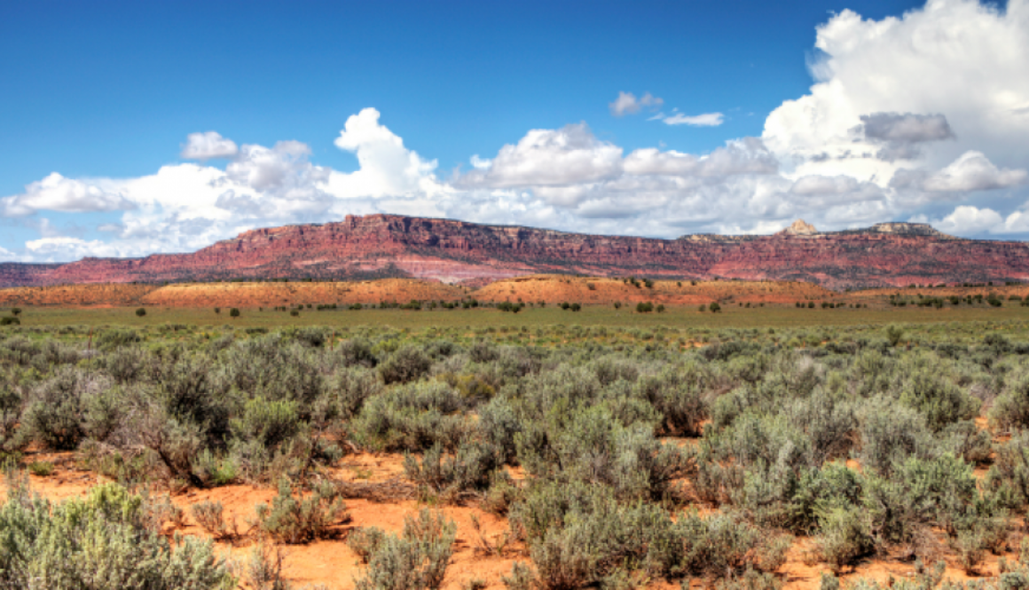 protected land give away