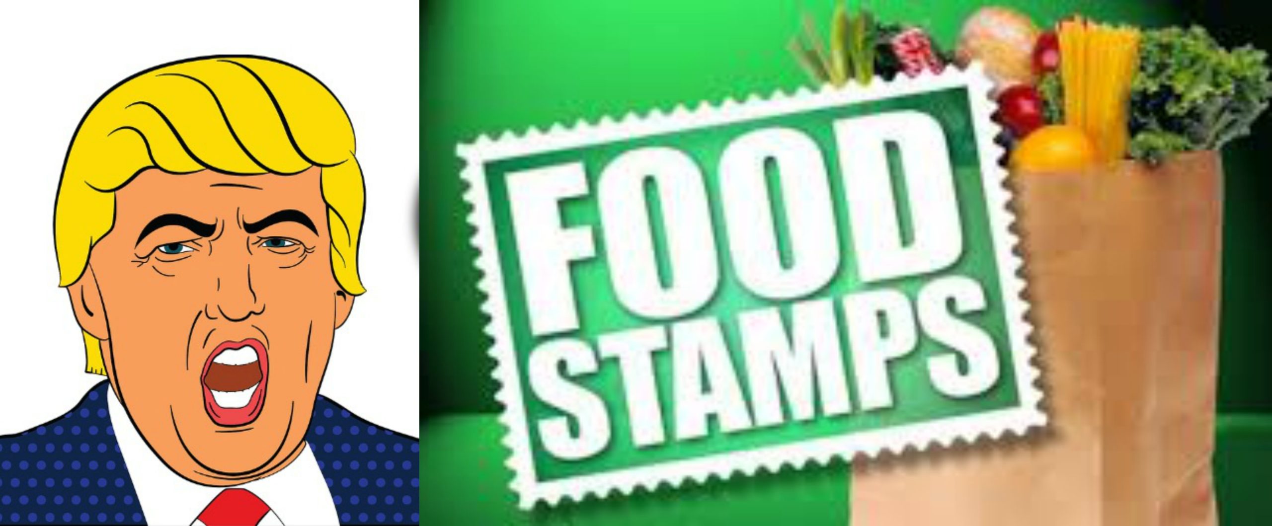 trump food stamps snap food delivery box