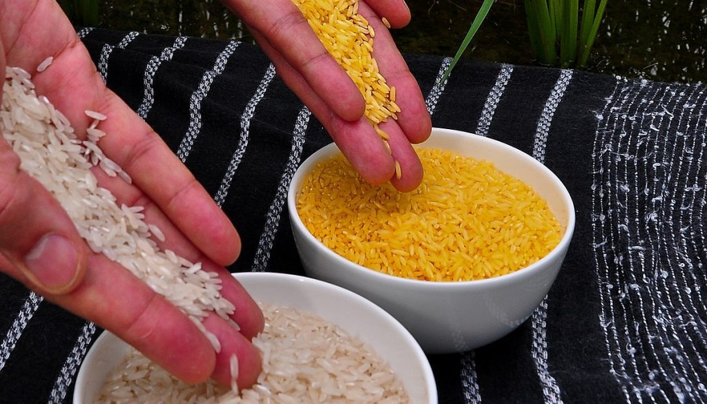1200px-Golden_Rice