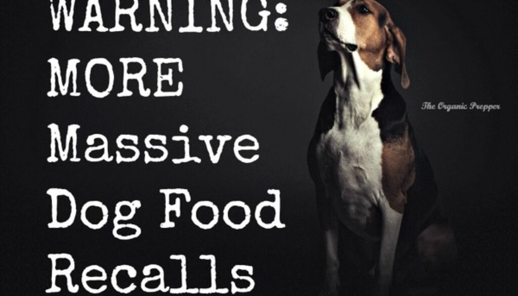 WARNING-MORE-Massive-Dog-Food-Recalls-600x400