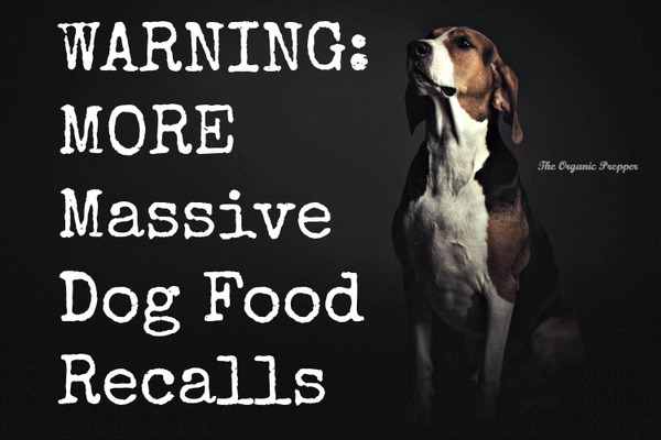 WARNING-MORE-Massive-Dog-Food-Recalls-600x400