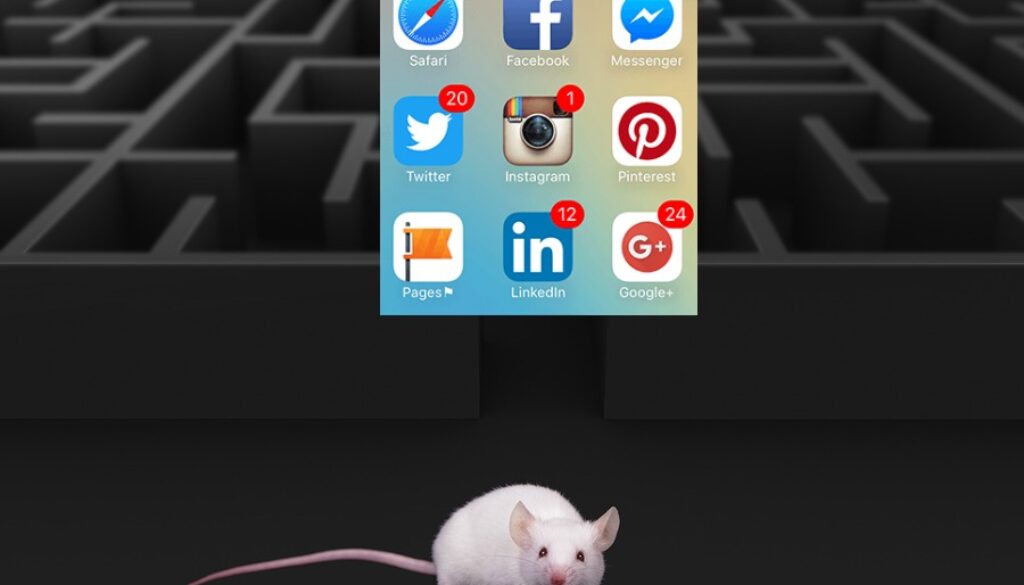 White mouse at maze exit over dark background