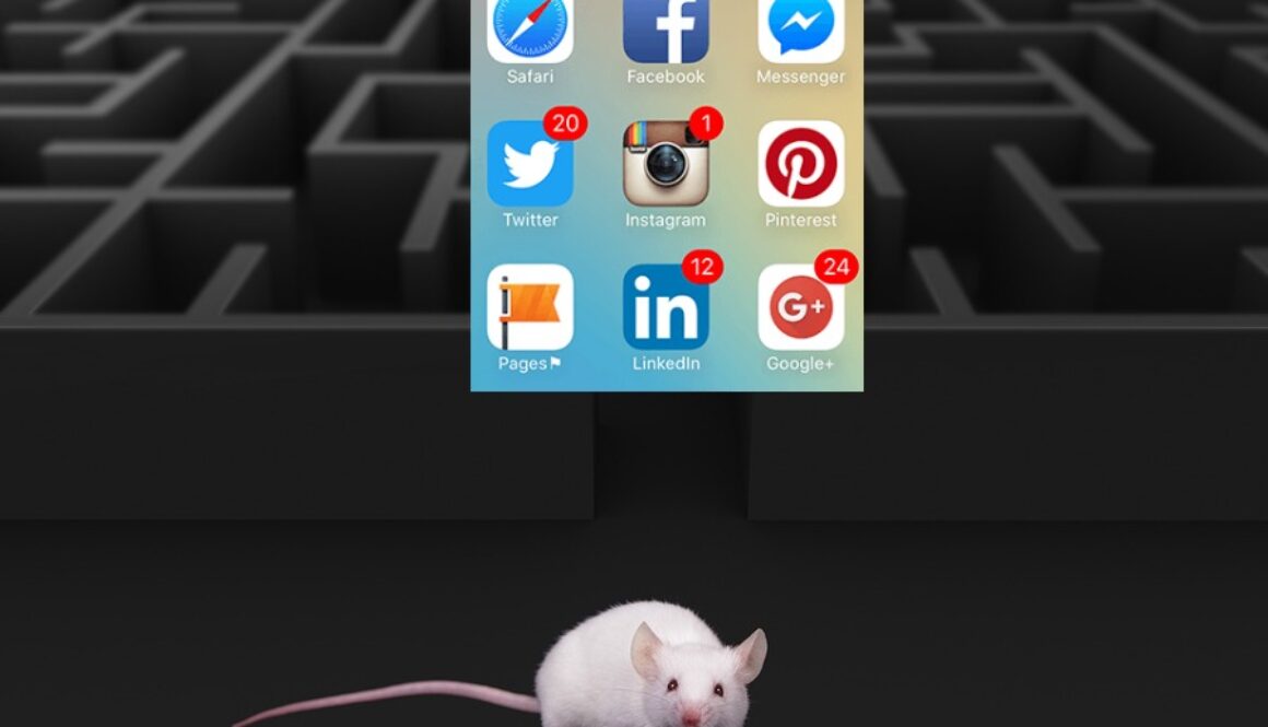 White mouse at maze exit over dark background