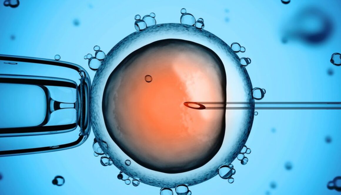 artificial embryo