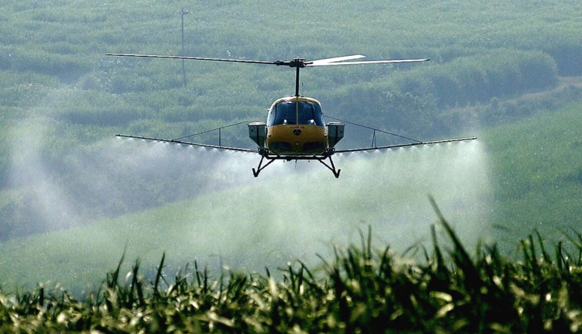 bee-killing pesticide china