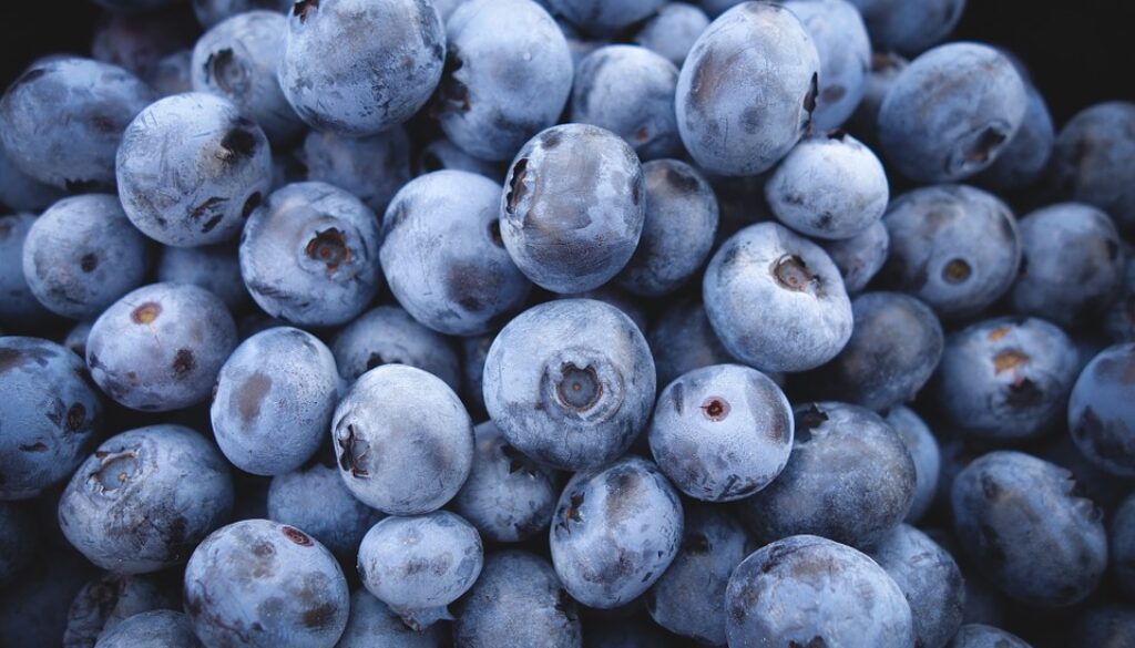 blueberries-690072_960_720