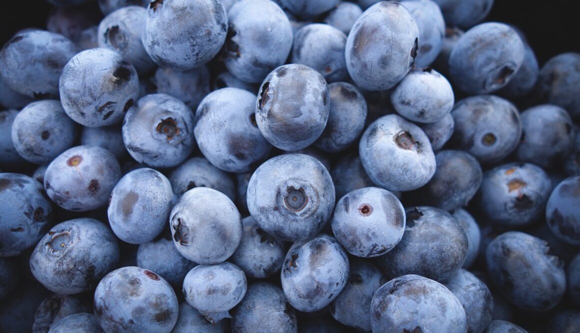 blueberries-690072_960_720