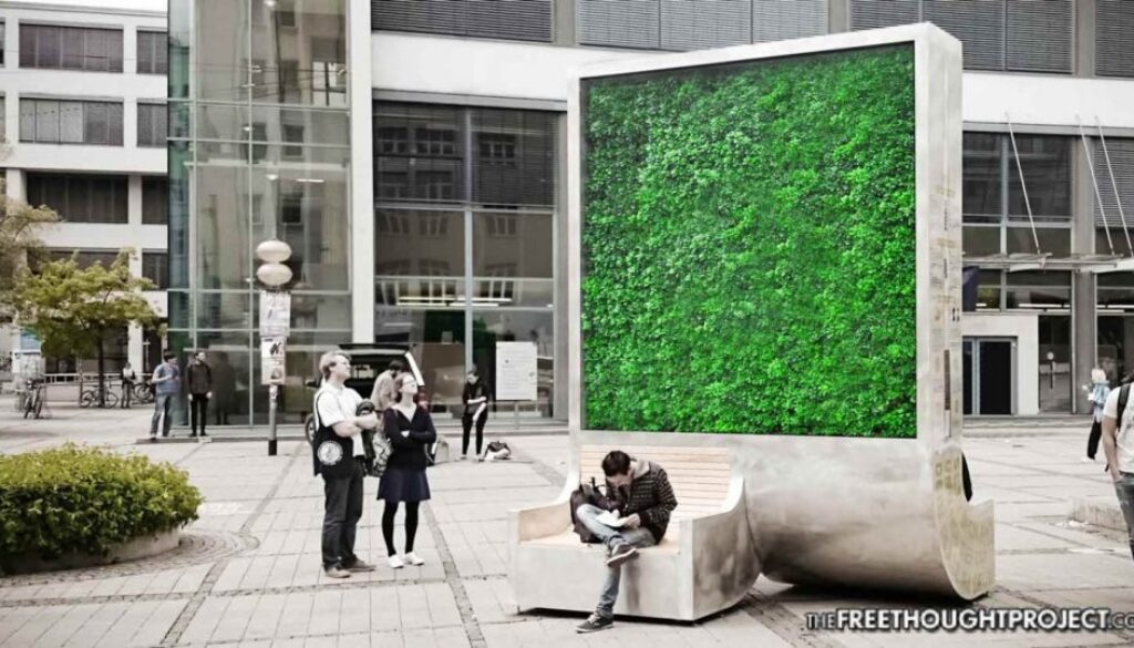 city-tree-air-1392x731