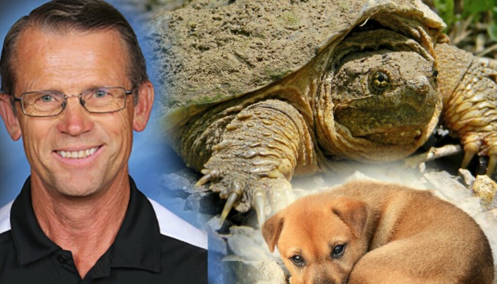 feeding live puppy snapping turtle