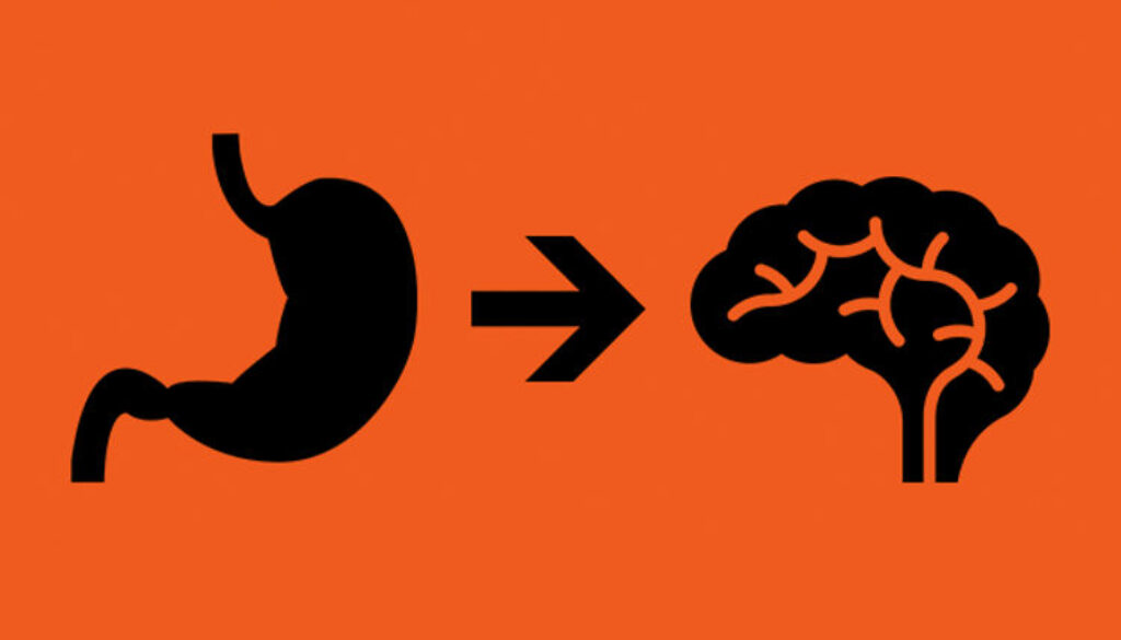 gut-health-brain-stomach