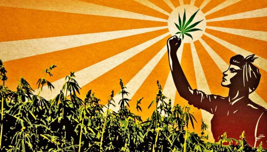 hemp-rev-1392x731