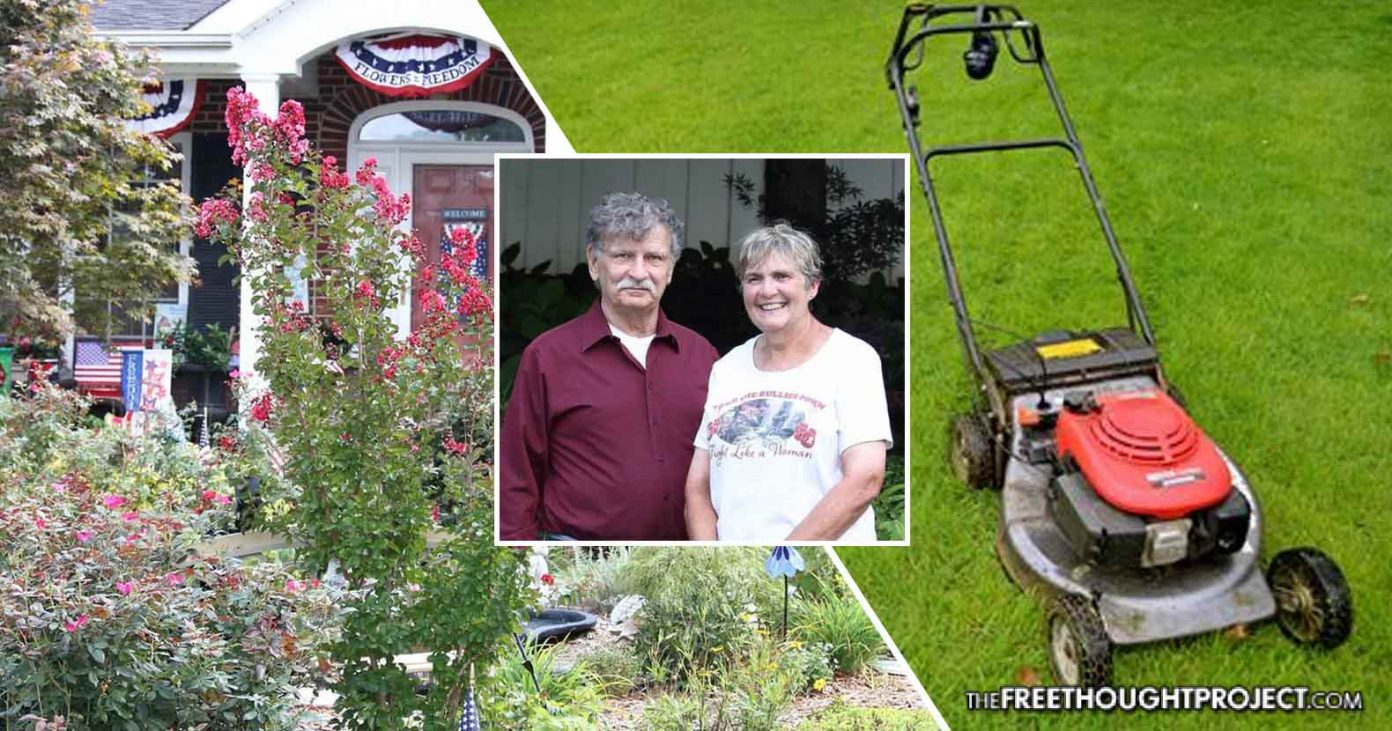 lawn-1392x731 lawn-1392x731