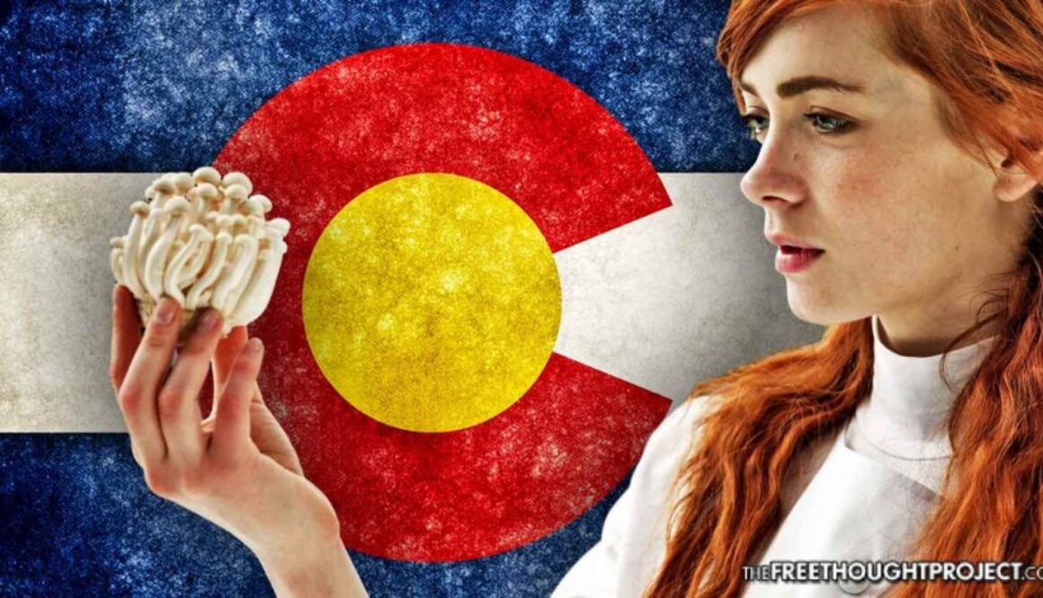 magic-mushrooms-colorado-1392x731