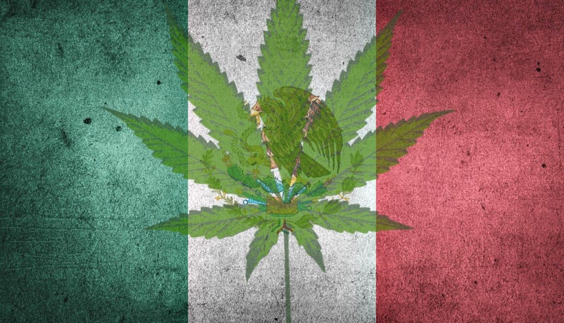 mexico marijuana