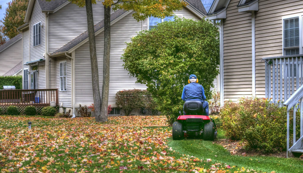 mulching-autumn-leaves