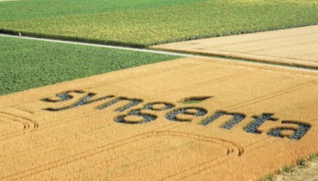 syngenta