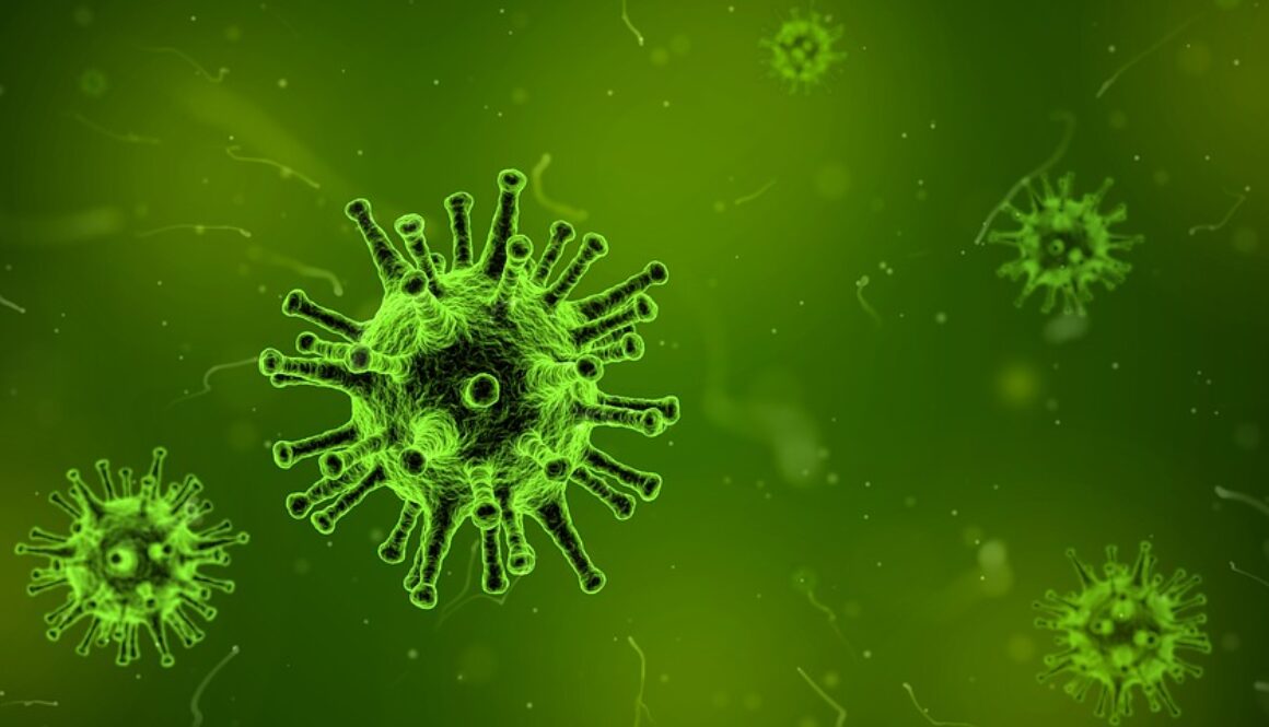 virus-1812092_960_720