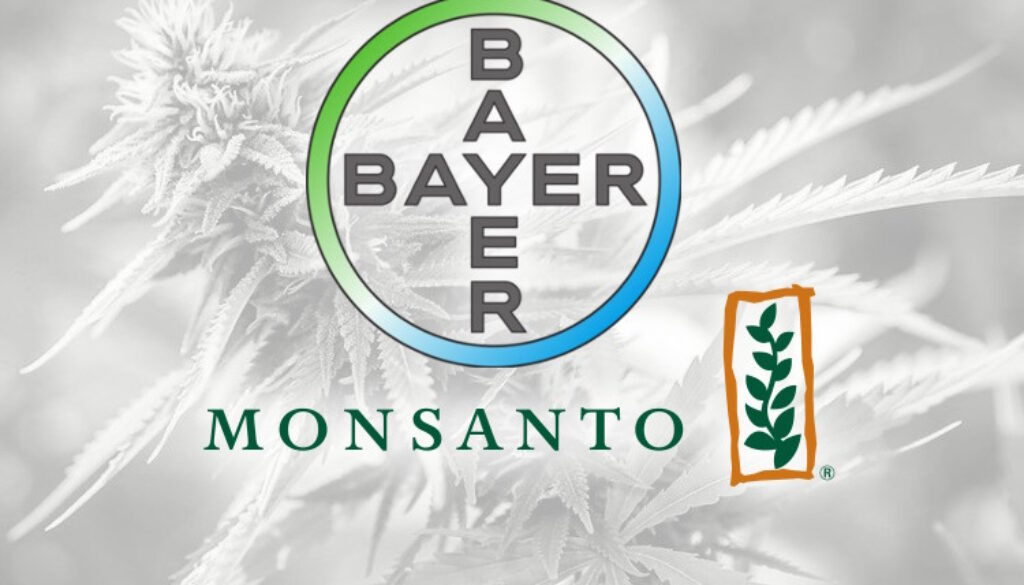 Bayer-Monsanto-Weed-2