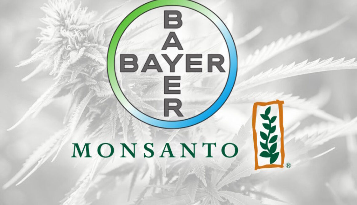 Bayer-Monsanto-Weed-2