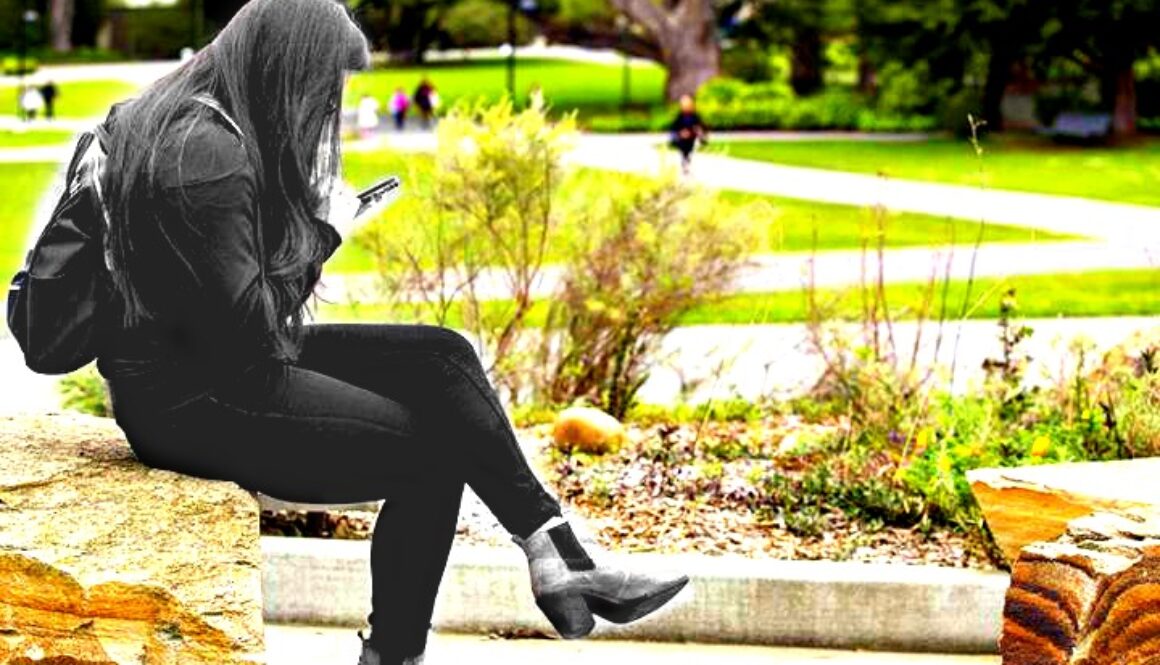 CREDIT San Francisco State University
