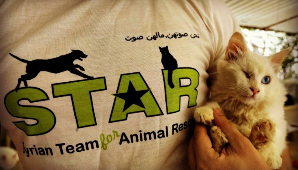 animal rescue syria