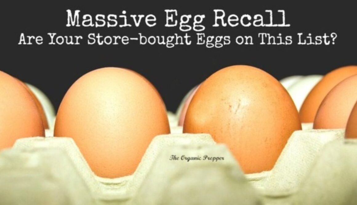 egg recall daisy luther
