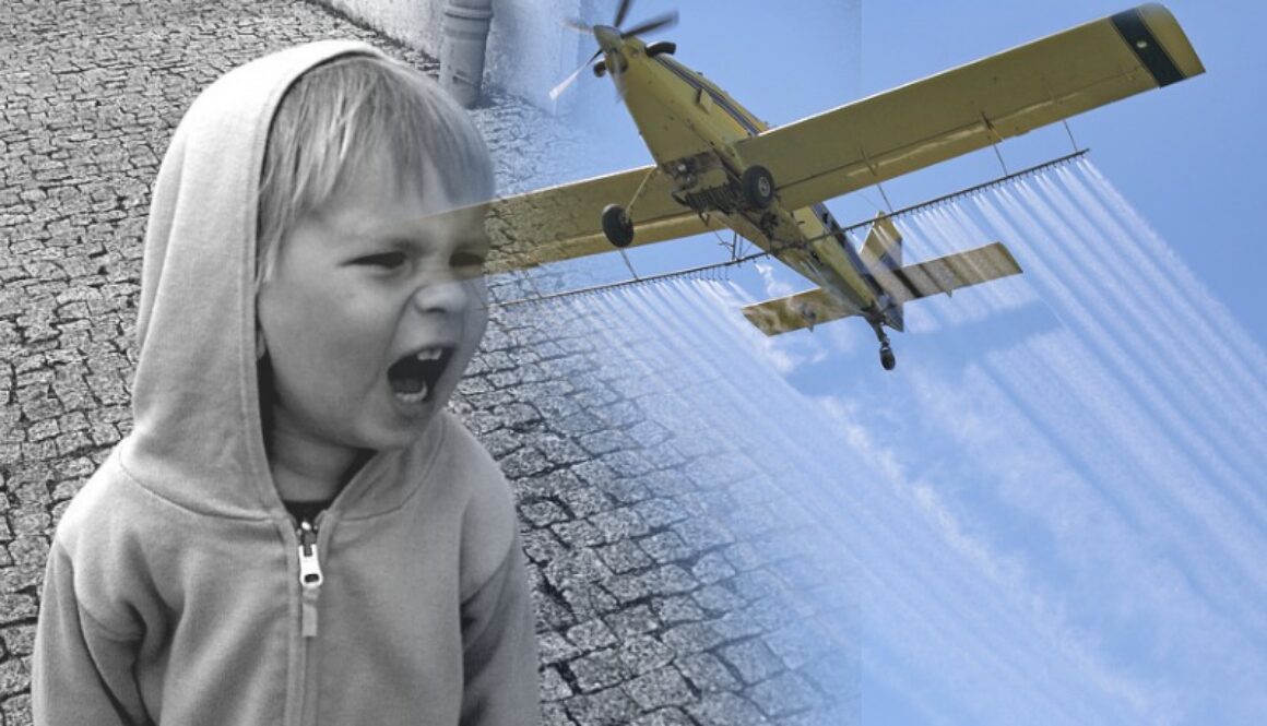 pesticides children aggressive