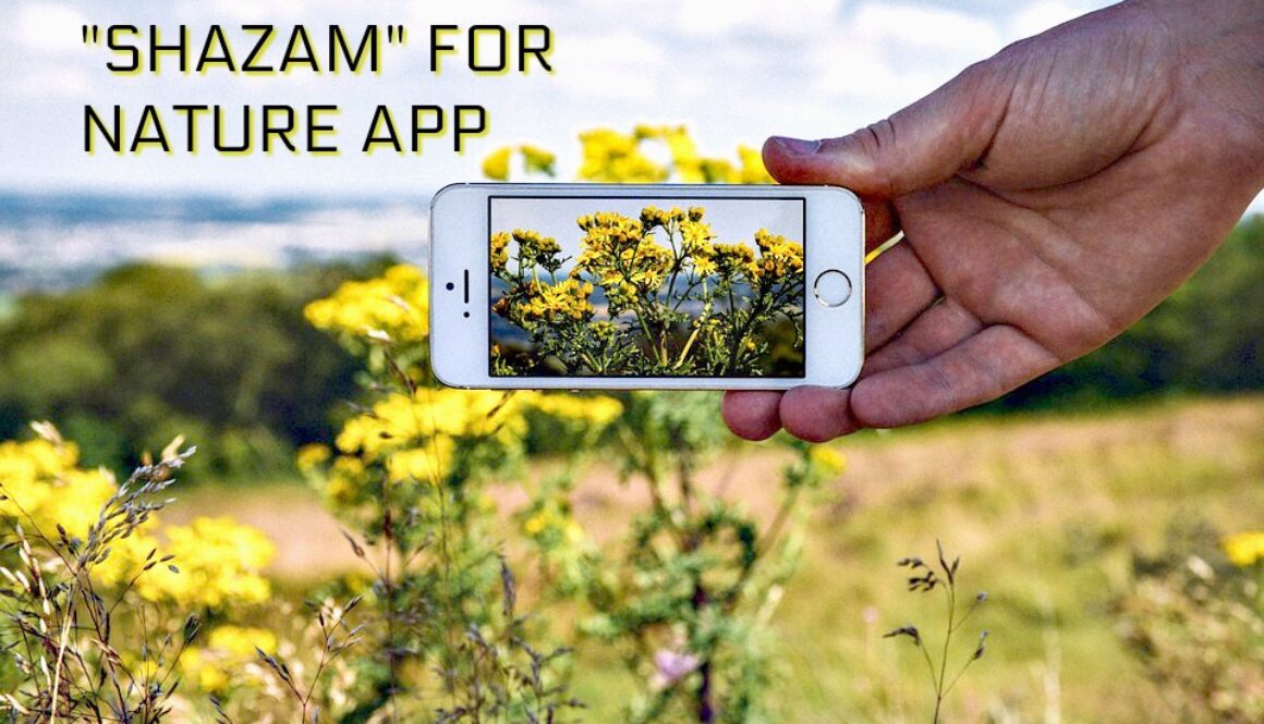 shazam for nature