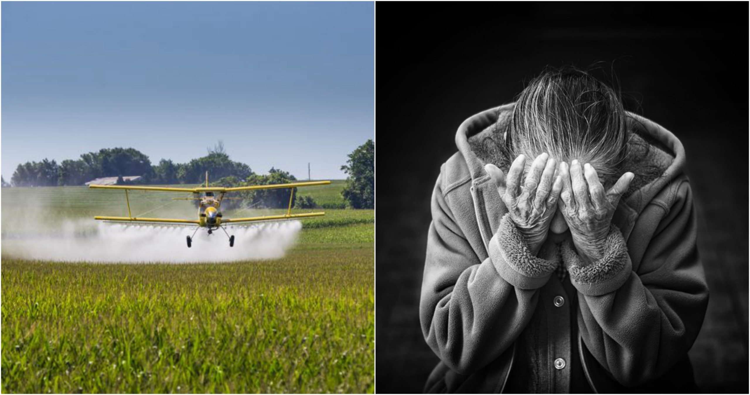 pesticides parkinsons