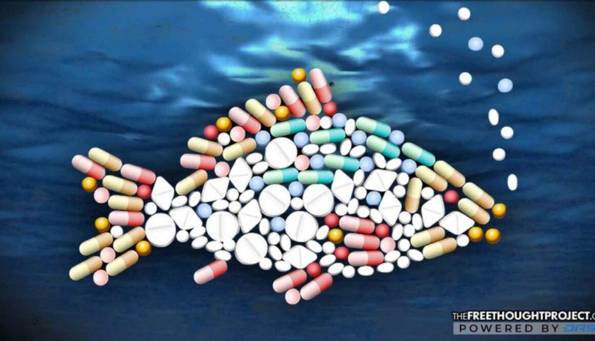 pharma-fish-1392x731