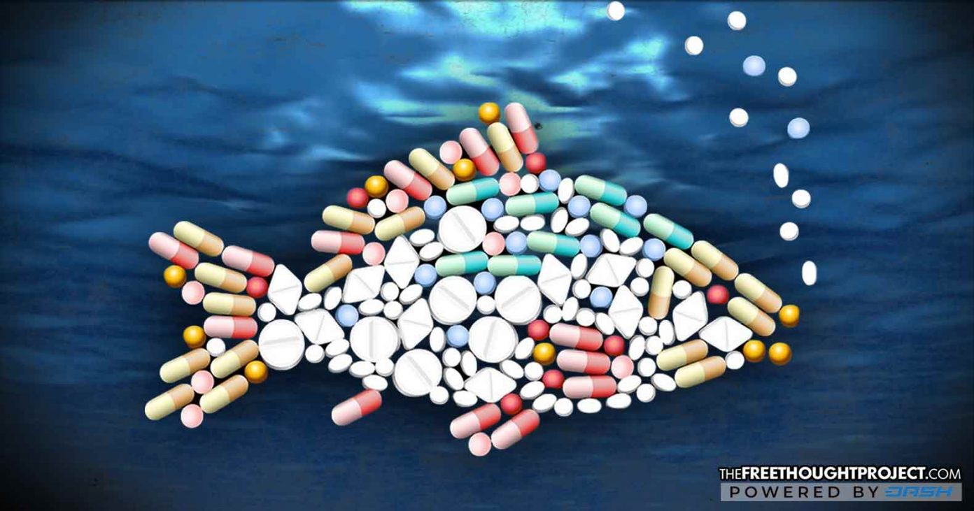 pharma-fish-1392x731