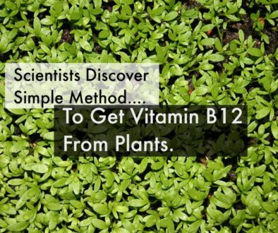 vitamin b12
