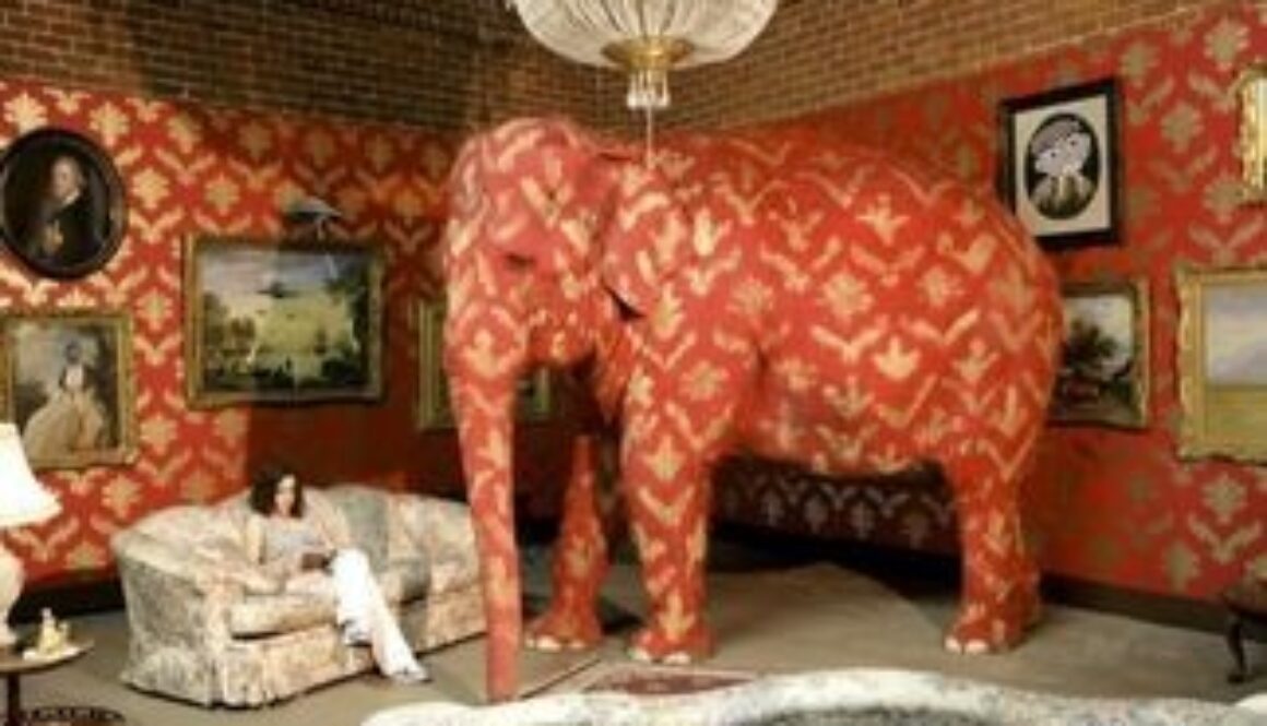 elephant living room
