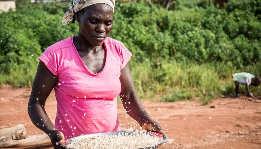gbagyi-woman-2791749_960_720
