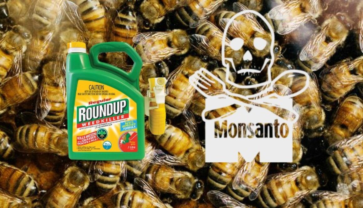 honey-bees-fungicides-1