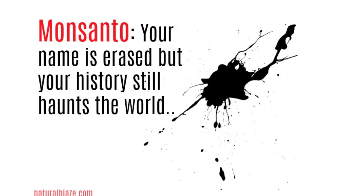 monsanto bayer